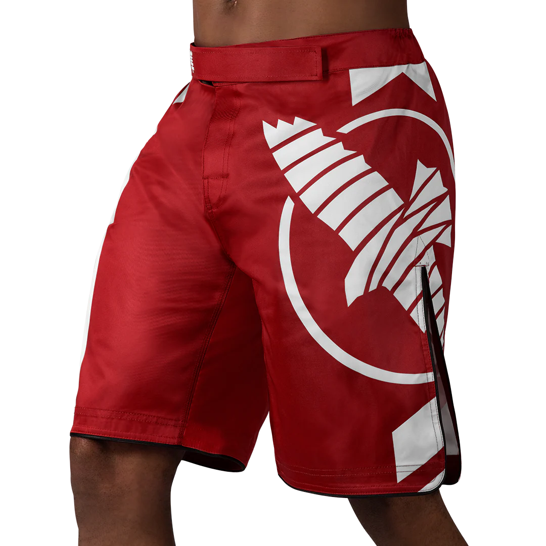 Hayabusa Icon MMA Shorts - Image 4