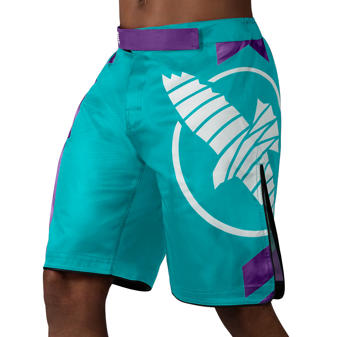 Hayabusa Icon MMA Shorts - Image 5